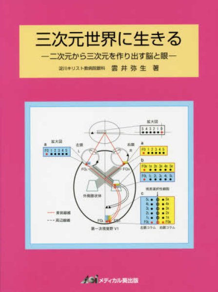 画像1: 三次元世界に生きる－二次元から三次元を作り出す脳と眼－ (1)