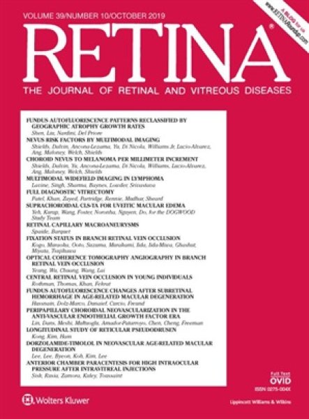 画像1: Retina (ご購読期間：1年)　＊2025年価格準備中 (1)