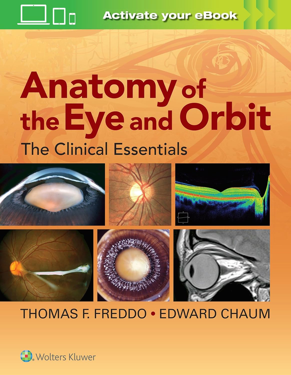 Anatomy of the Eye & Orbit  - Clinical Essentials